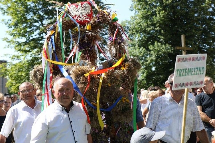 Dożynki diecezjalne w Rokitnie